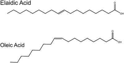 Coupling Phase Behavior of Fatty Acid Containing Membranes to Membrane Bio-Mechanics